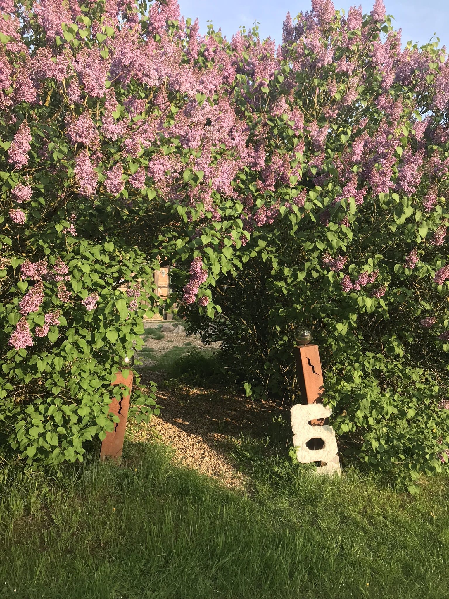 Gartenweg durch blühenden Flieder mit Skulptur am Forsthaus Gut Göddenstedt